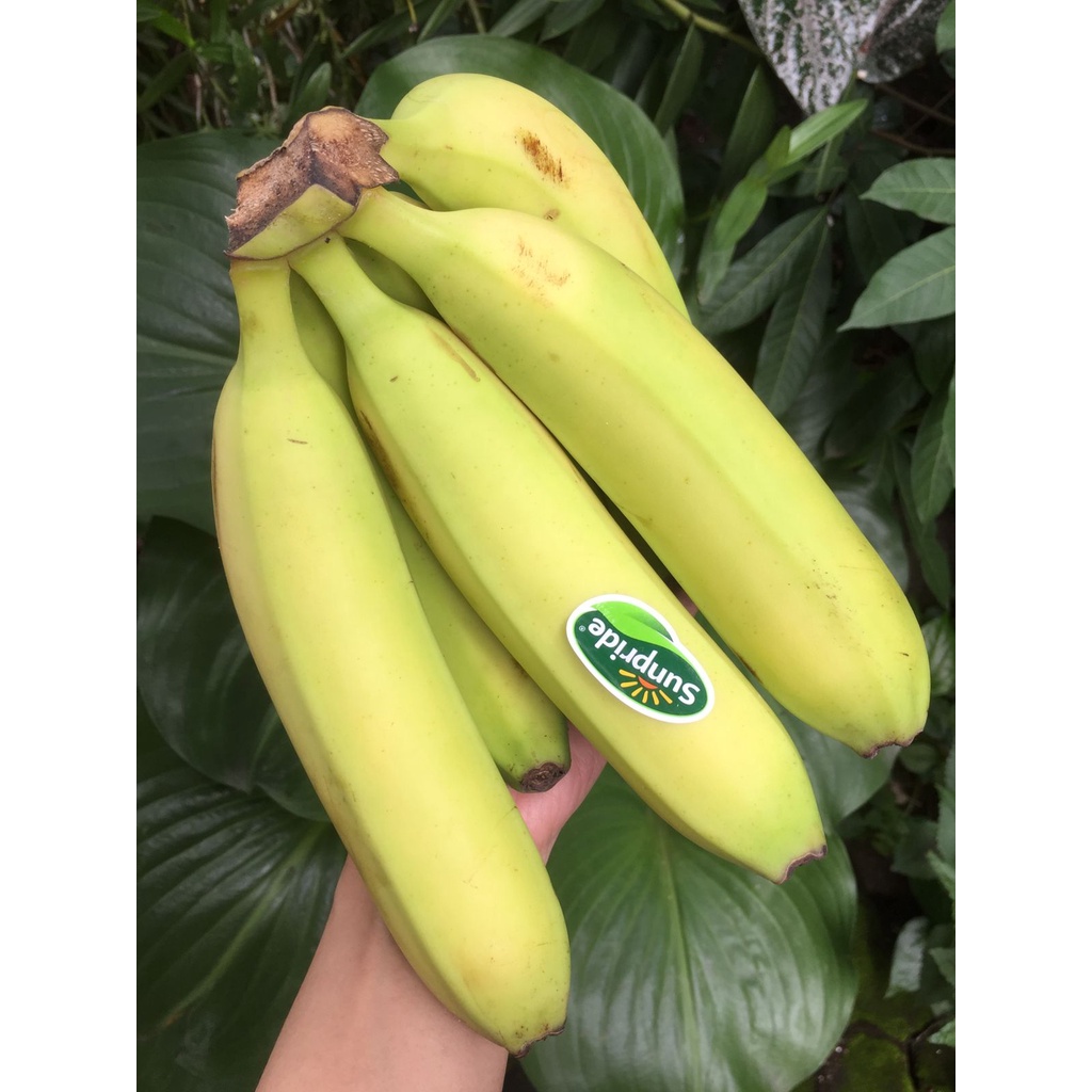 

PISANG SUNPRIDE BANDUNG 500gr | PISANG CAVENDISH BANDUNG | BUAH SEGAR | BUAH BANDUNG | WARUNG CEU ENGKAY