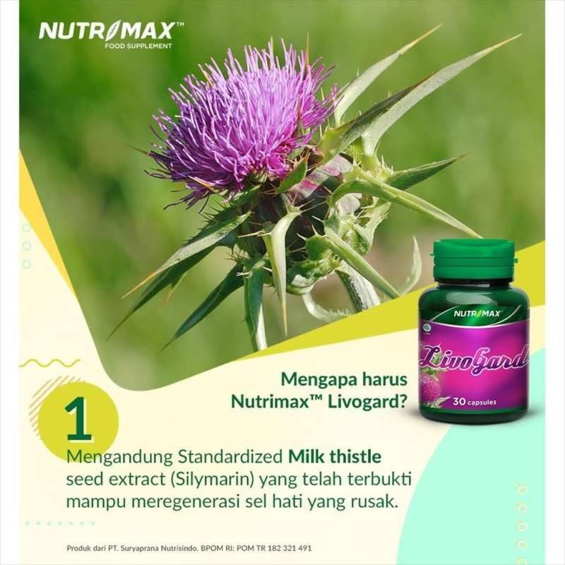 NUTRIMAX LIVOGARD LIVER CARE LIVO GARD VITAMIN OBAT FUNGSI HEPATITIS