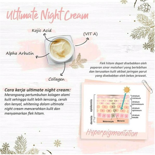 ✨ AKU MURAH ✨ MS GLOW ULTIMATE NIGHT CREAM 12g ORI BPOM