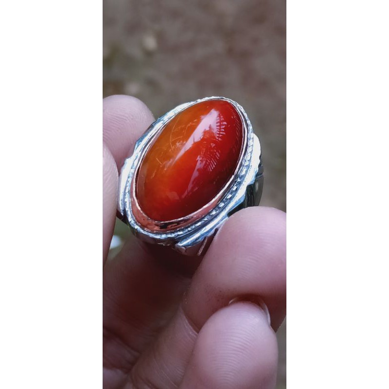 

pandan merah