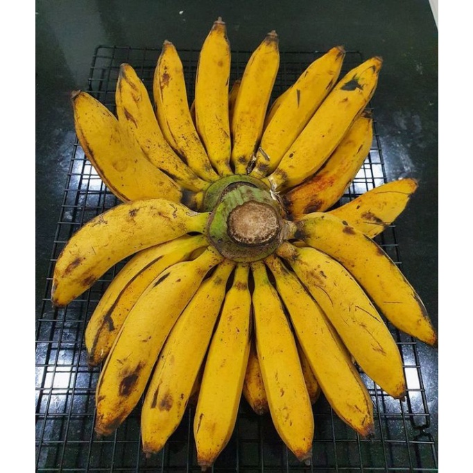 

PISANG RAJA BULU / SISIR