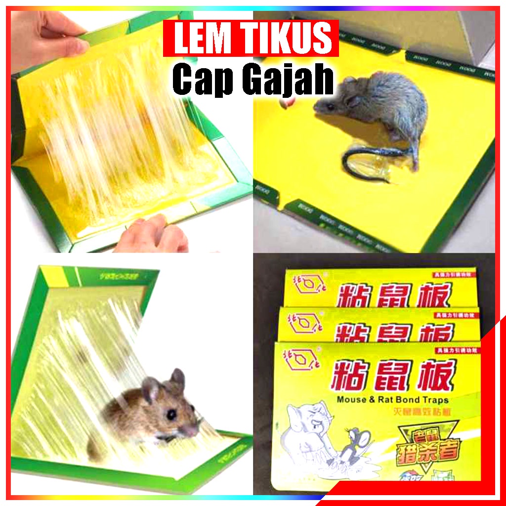 Cap Gajah Trap Lem Tikus / Papan Perangkap Lem Tikus Murah Dan Super Lengket / Jebakan Tikus Tanpa Racun