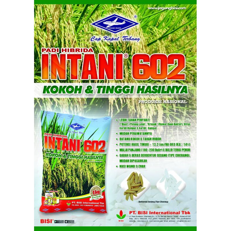 BENIH PADI HIBRIDA INTANI 602