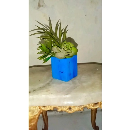 pot bunga kaktus, pot bunga plastik, pot bunga unik