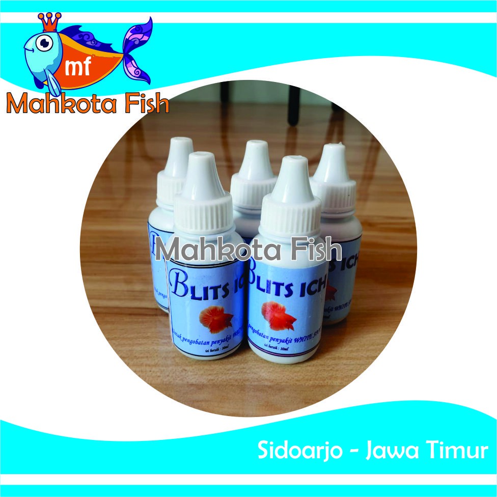 Obat Biru (Blits ICH) | Obat Ikan Hias | Obat White Spot | Obat Cupang (GRATIS KARDUS)