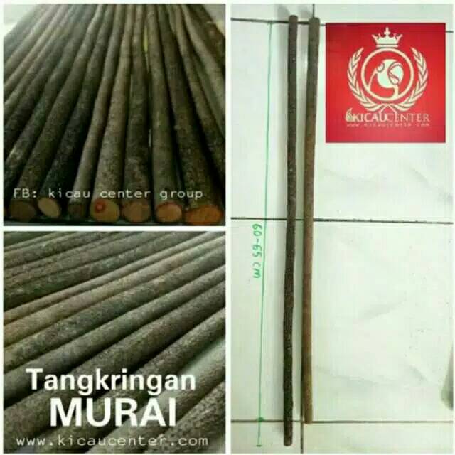 TANGKRINGAN ASEM BALI UNTUK MURAI