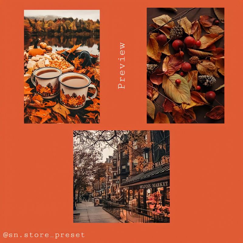 7 PRESET LIGHTROOM AUTUMN SERIES For IOS &amp; Android