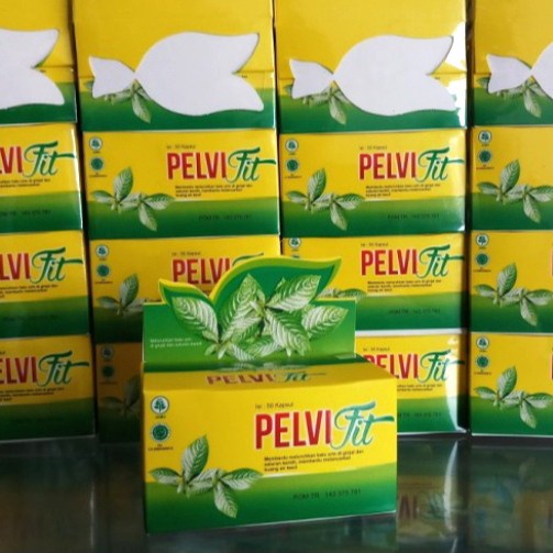 PELVIFIT NATURAFIT OBAT HERBAL ATASI SAKIT GINJAL HERBAL 50KAPSUL TERLARIS