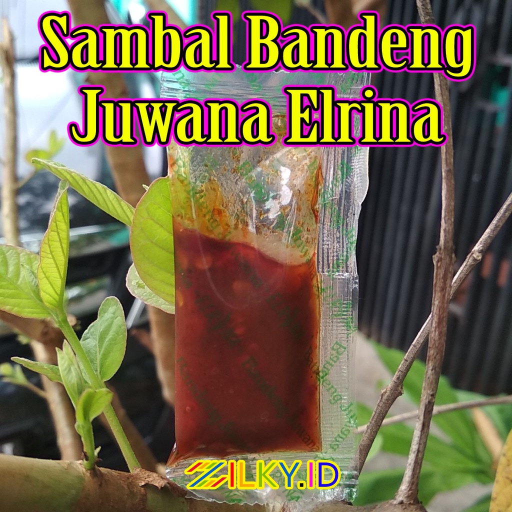 

Sambal Sambel Sachet Ikan Bandeng Juwana Elrina Erlina Semarang Bekasi