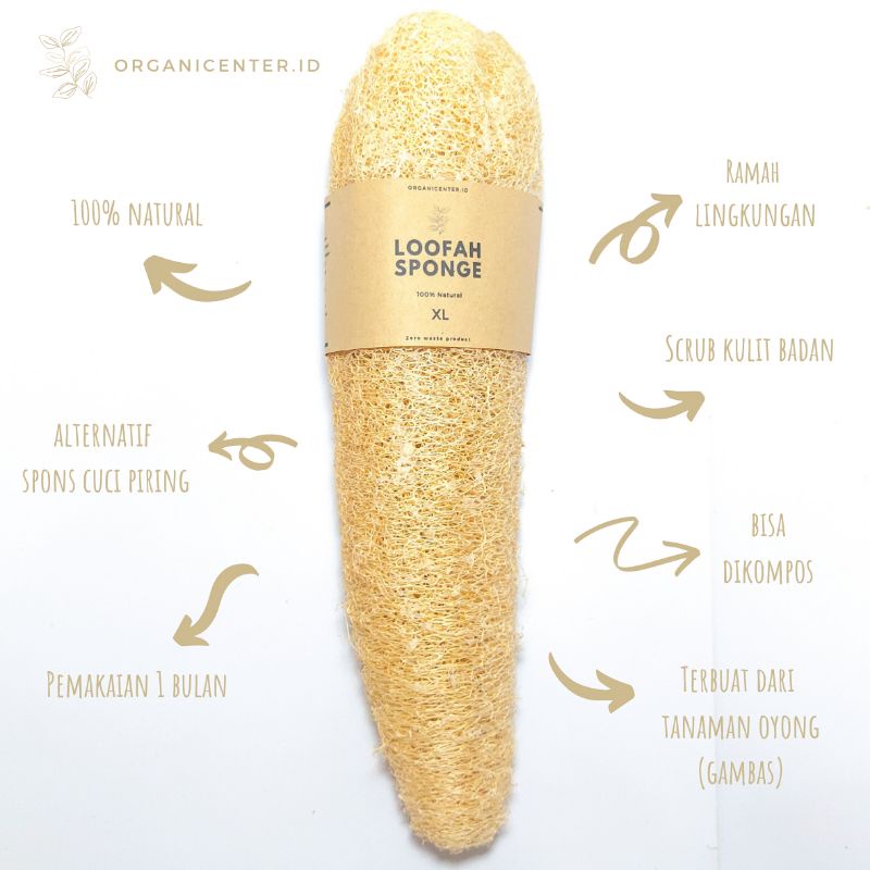 Loofah Sponge XL / Spons Loofah Natural Alami / Spons Sabut Cuci Piring / Oyong Kering Zero Waste