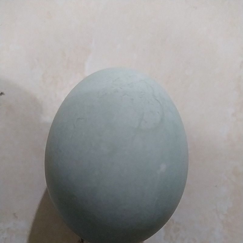 

telur asin isi 10