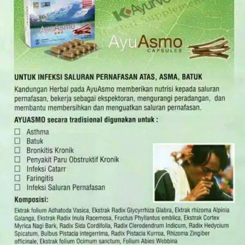 ayu  asmo isi 30 k-link