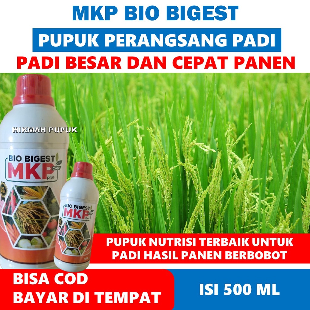 MKP BIO BIGEST