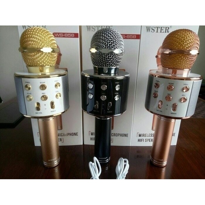 Mic Karaoke Bluetooth Wster Suara Dan Fitur Paling Komplit Di Kelasnya Shopee Indonesia