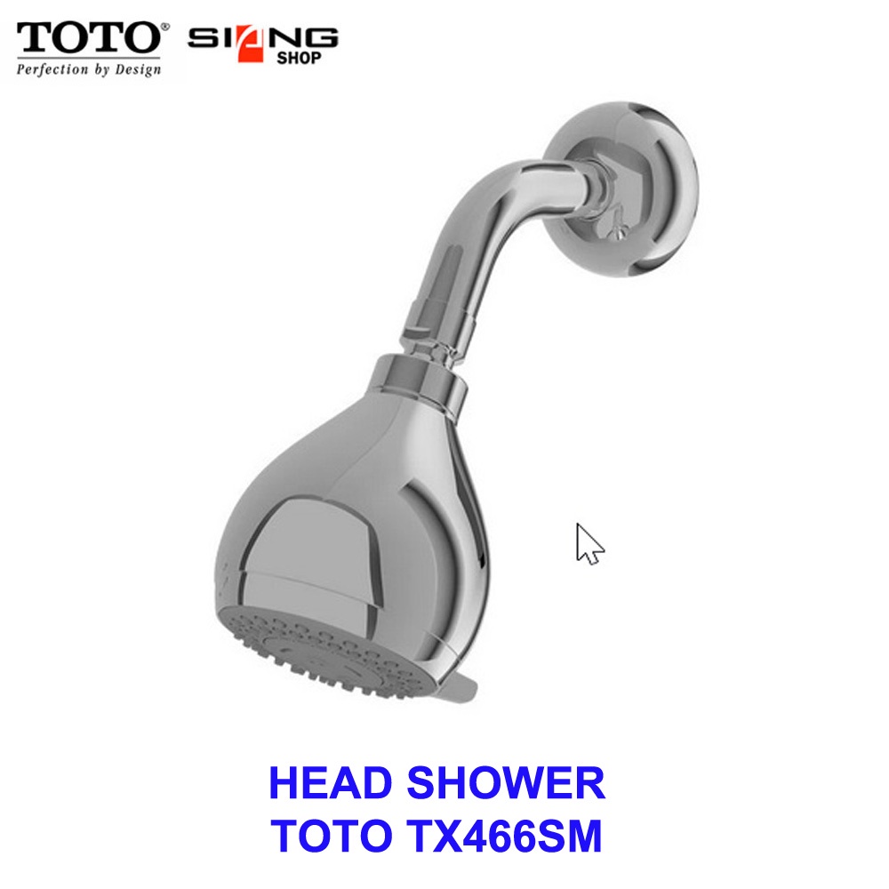 Head Shower TOTO TX466SM