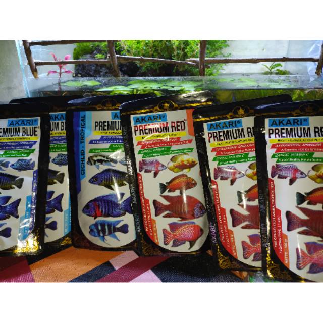 Akari premium blue & red