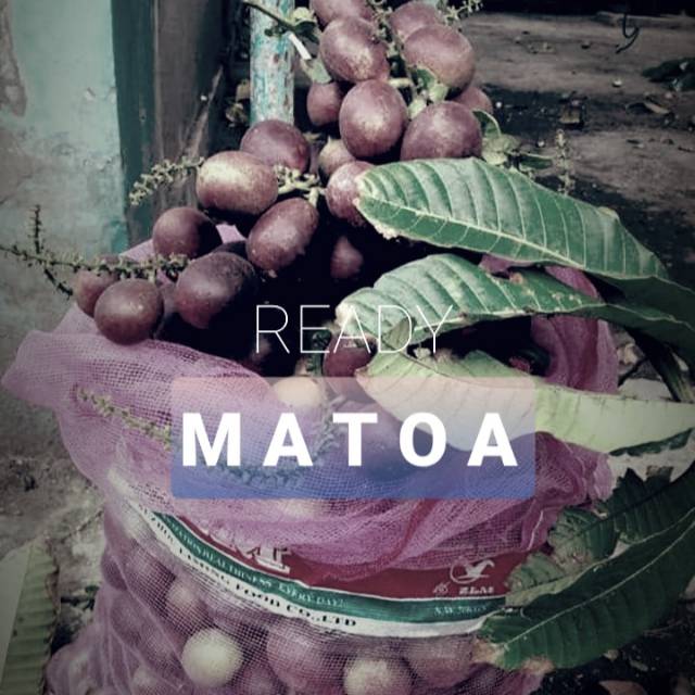 

Buah Matoa