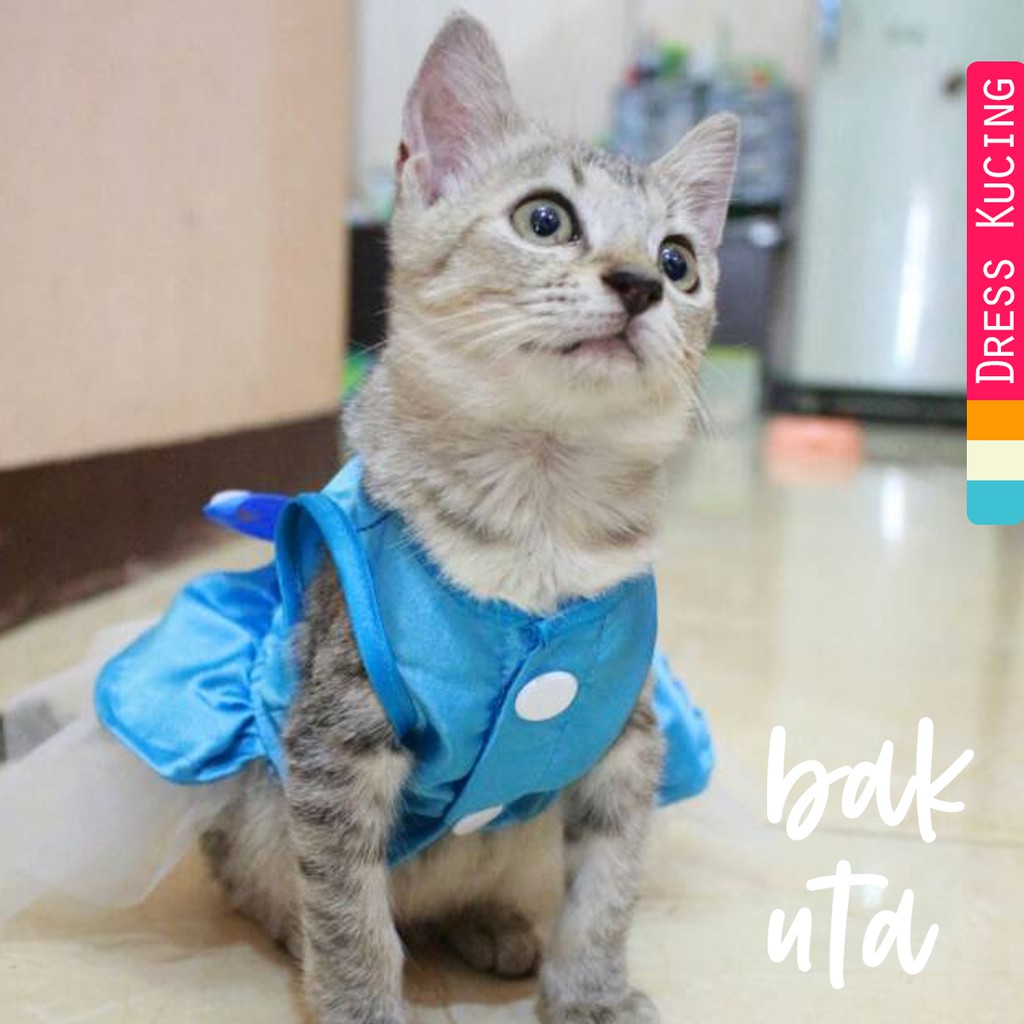 Dress princess elsa frozen V.3 untuk kucing dan anjing lucu murah meriah terlaris size S-XL