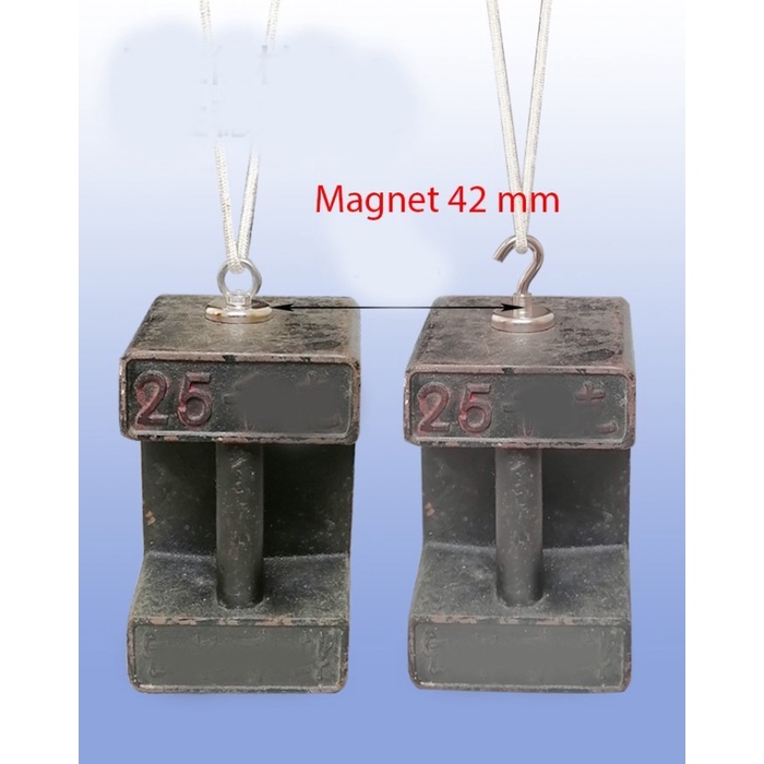 Magnet N52 neodymium Strong 42 48 60 75 mm