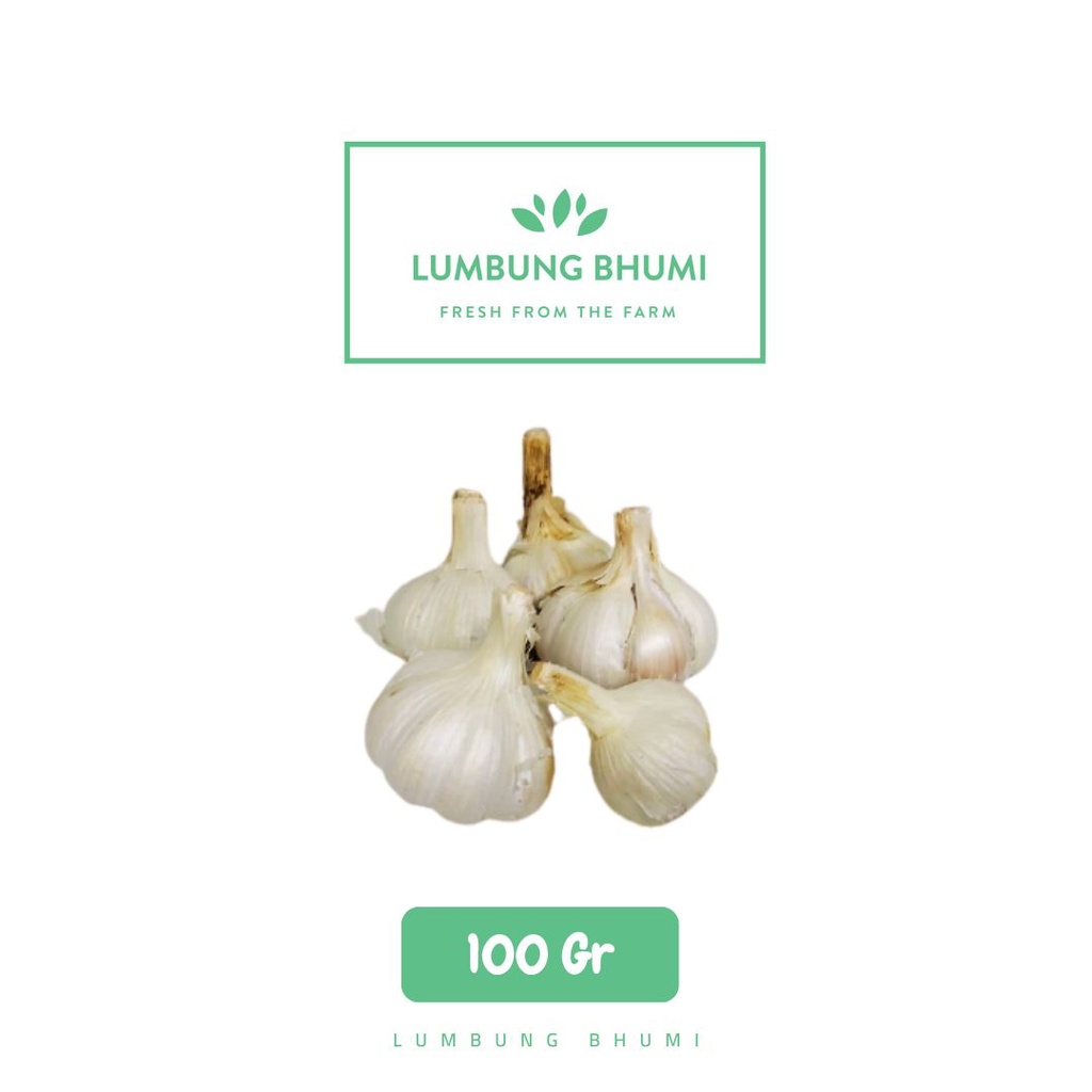 

Lumbung Bhumi - Bawang Kating KULIT 100 Gr ( Sayur Curah )