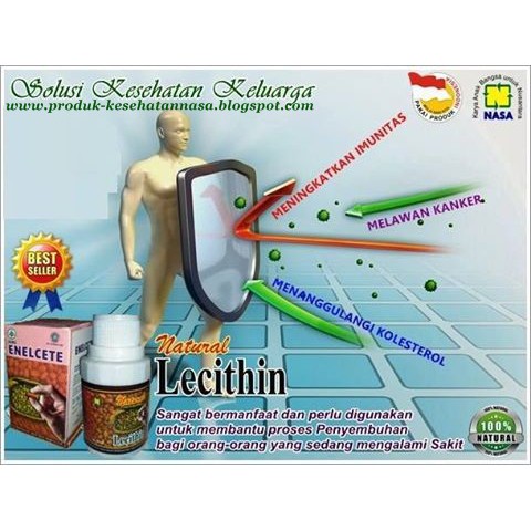 

Lechitin (minyak kedelai ajaib)