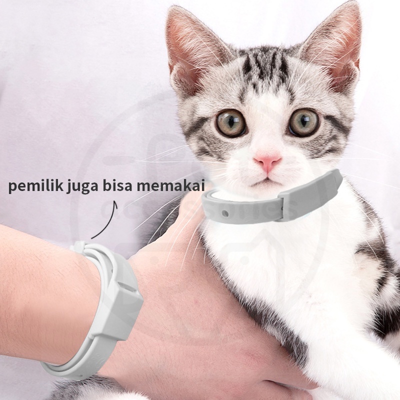 Kalung Kutu Anti Kucing Anjing Serangga Pinjal Dapat Disesuaikan  Anti Nyamuk Ukuran Bisa Disesuaikan Aksesoris Hewan Peliharaan