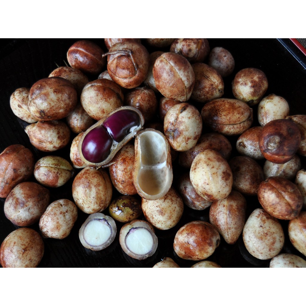 

Kacang Bogor - 250 Gr