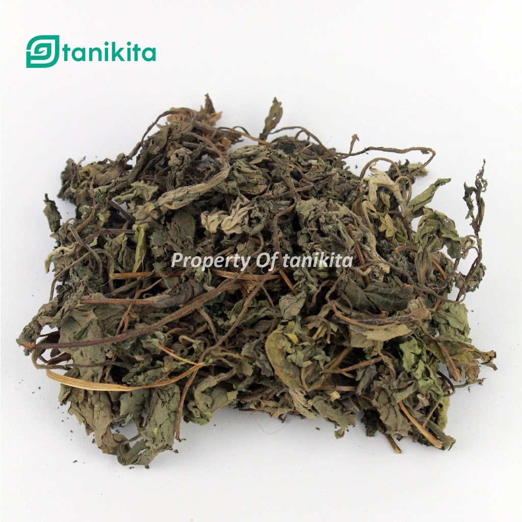 Daun Insulin Kering 500gr - Herbal Untuk Diabetes