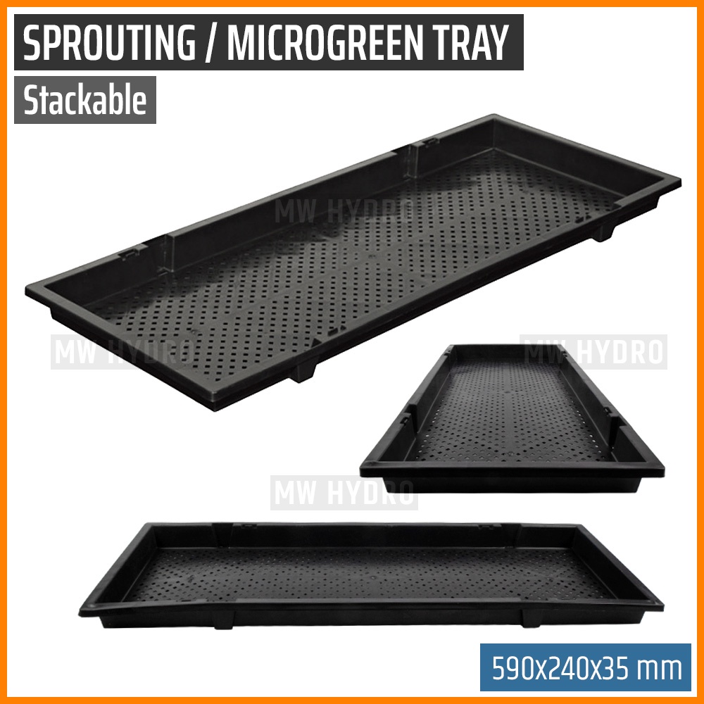 Stackable Tray For Sprouting, Seedling, Microgreen - 590 x 240 x 35 mm