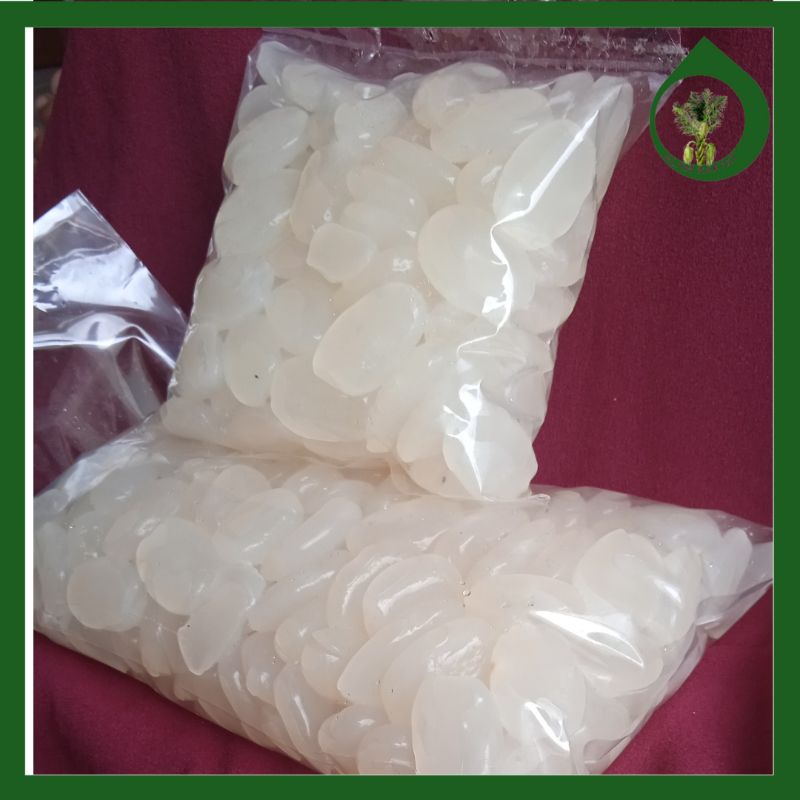 

Buah Aren Mentah 1500 Gram Fresh dan Kenyal