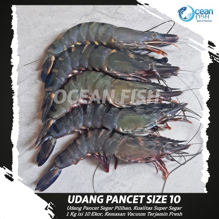 

Udang Pancet Jumbo Size 8-10-12/Windu Besar Segar/Fresh Seafood/Udang Pancet Segar Size Besar Fresh