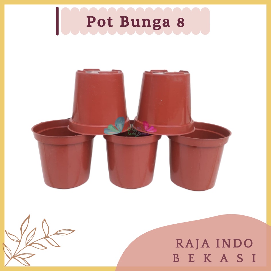 Murah Pot Bunga 8cm Merah Bata  Pt Grosir Pot Tanaman Plastik 8 Cm Pot Kaktus 8CM Coklat Sekulen