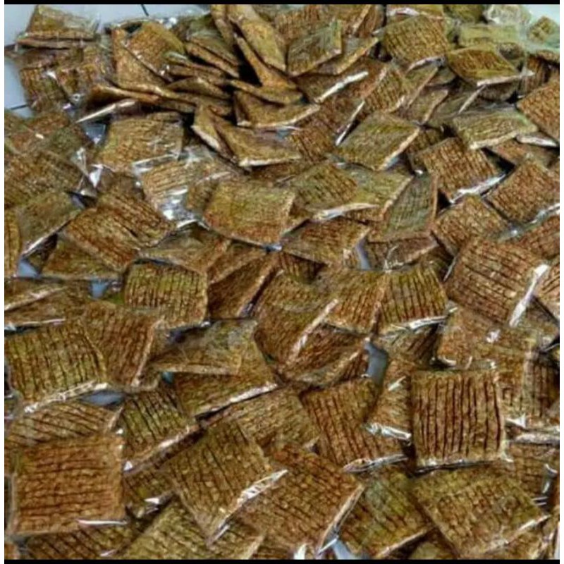 

TEMPE NASI GANDUL