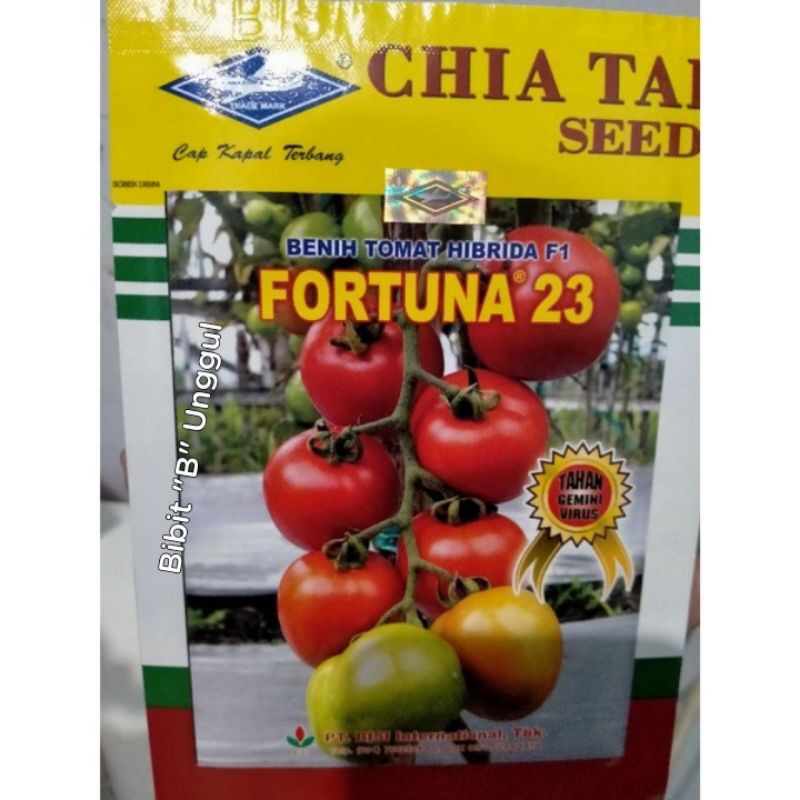 Benih bibit tomat Fortuna 23 F1