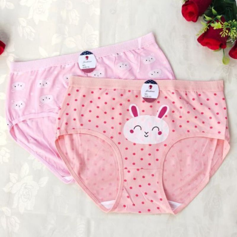 CELANA DALAM PREMIUM SUPER BAGUS M L XL MOTIF (CD KELINCI)