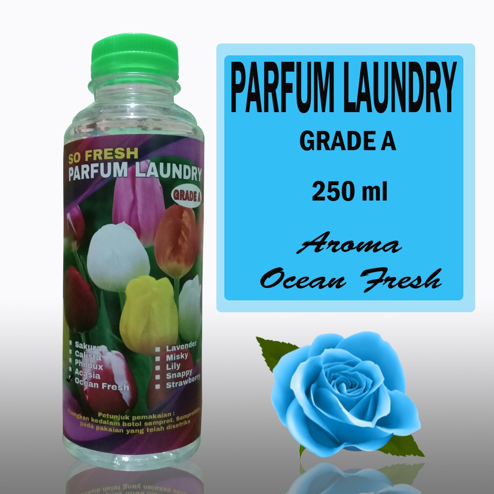 PARFUM LAUNDRY GRADE A AROMA OCEAN FRESH 250 ML