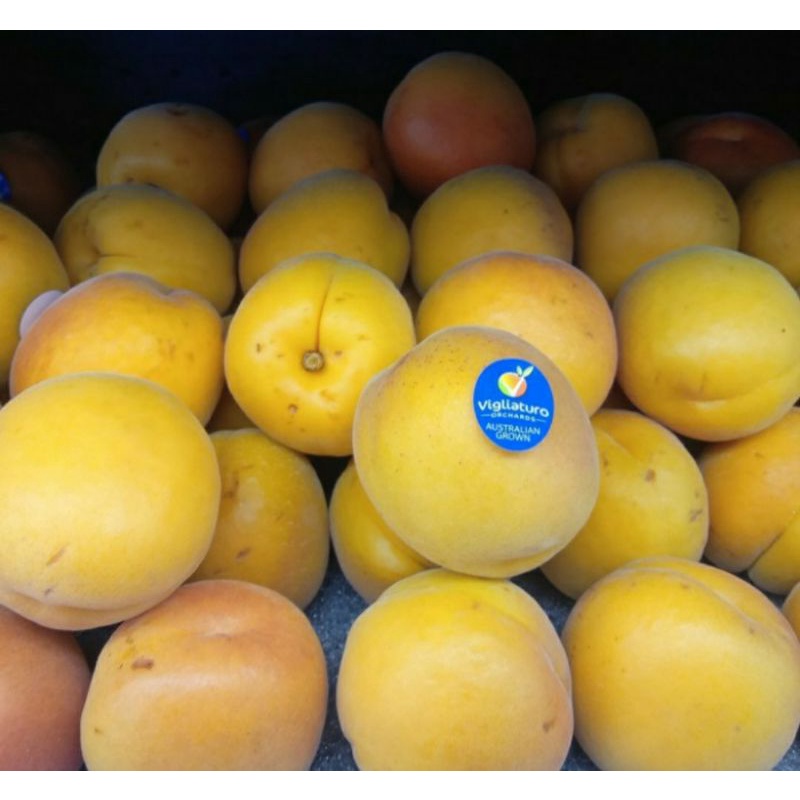 

Apricot import jumbo | buah aprikot | 500 grm