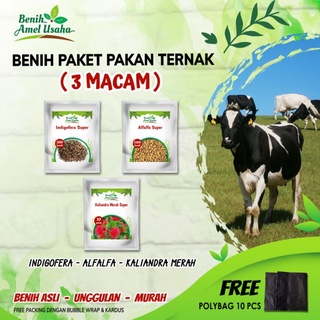 Jual Bibit benih paket 3 Macam benih pakan ternak benih indigofera