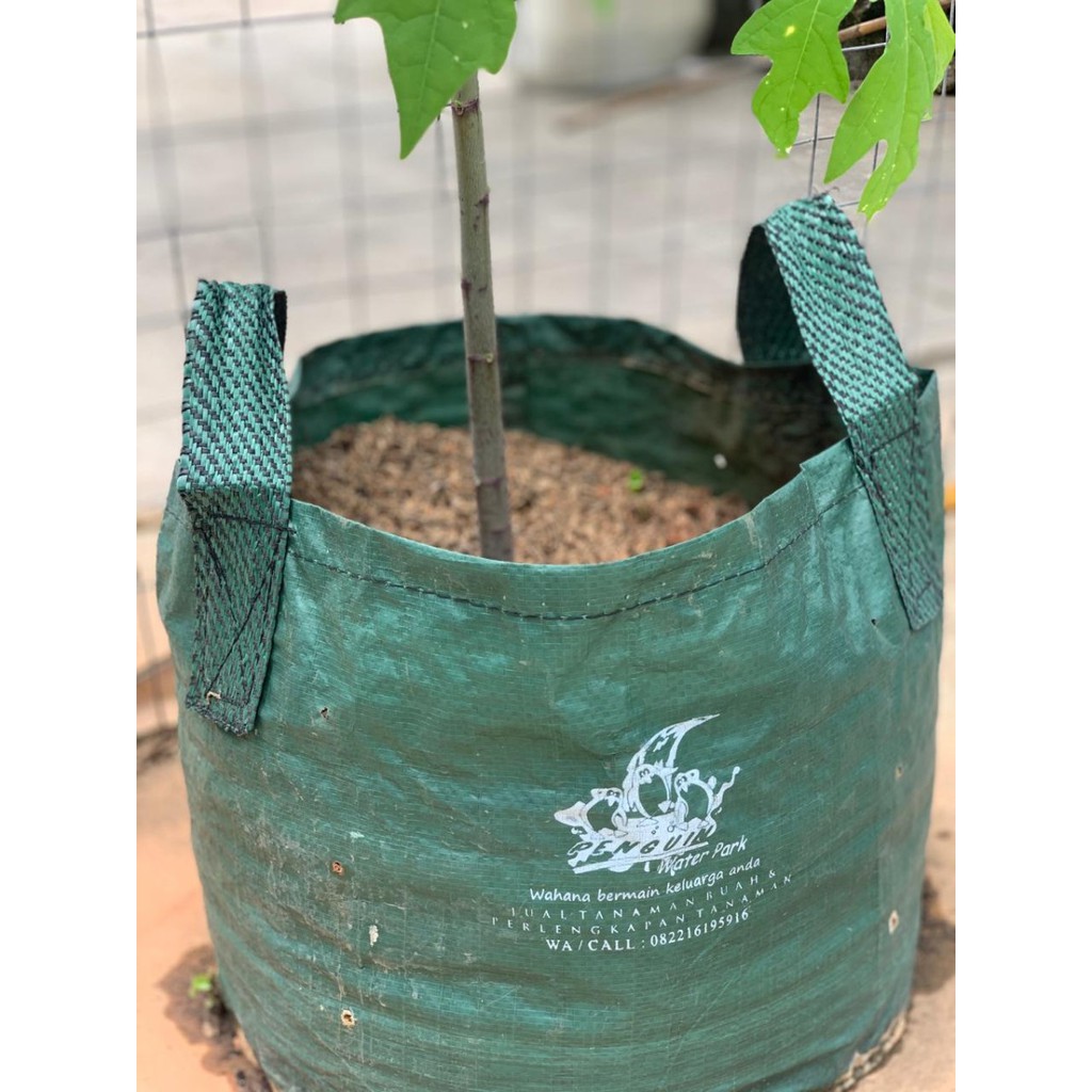 Planter Bag Easy Grow 15 Liter Handle Kantong Tanam Pot Bahan Terpal