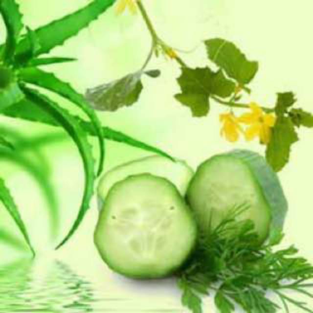 Aloe Vera & Cucumber Fragrance Oil of Natures Garden USA / Pewangi Sabun / Fragrance Oils
