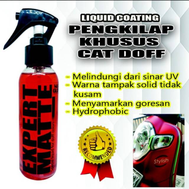 Expert Matte Pengkilap Cat  Body Doff  Motor  Mobil 100ml 