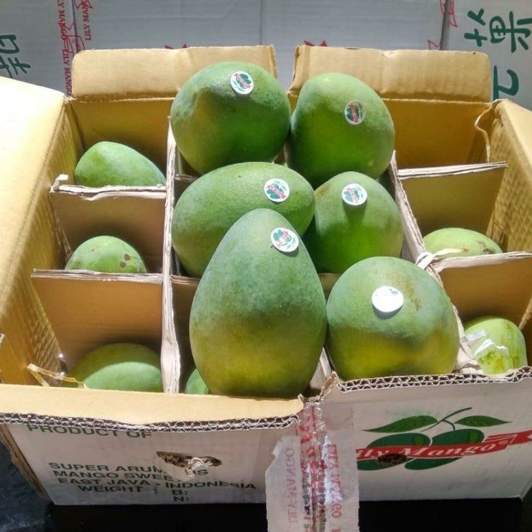 

Mangga Harum Manis Lily / Mangga Suluhan | Matang Pohon Box 5,5 Kg