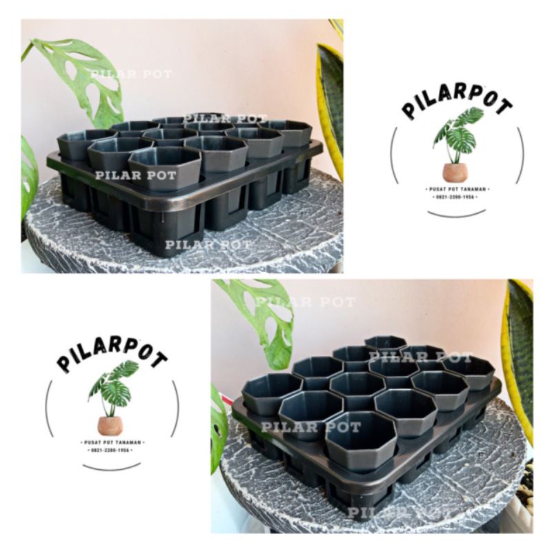 1 set Tray + POT BUNGA NKT PAGODA MINI 5CM HITAM | tray semai bibit