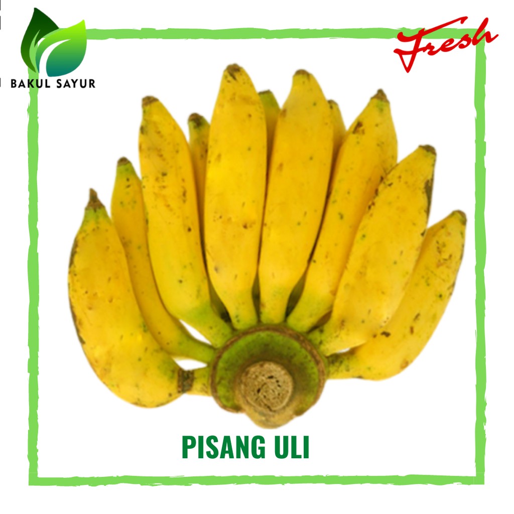 

PISANG ULI PERSISIR - BUAH SEGAR JAKARTA TIMUR