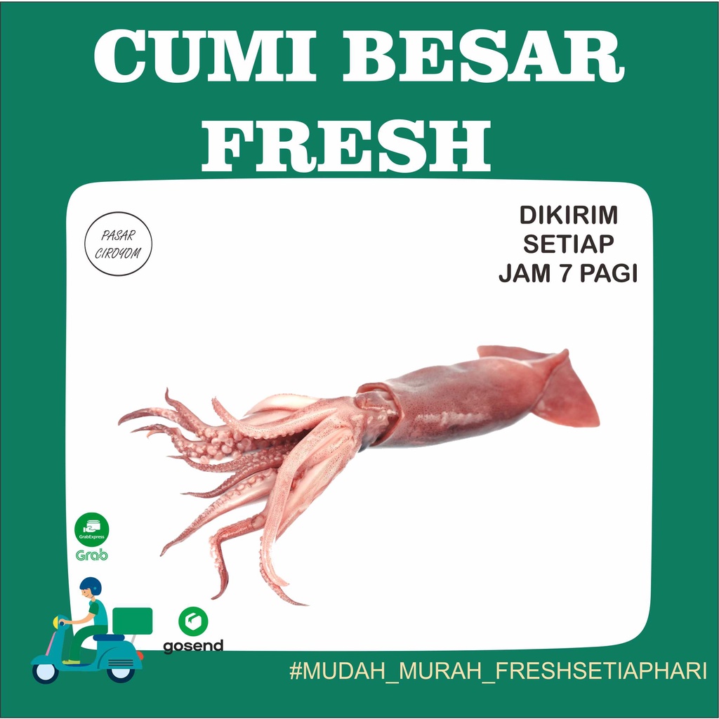 

PROMO CUMI BESAR DAN SEDANG FRESH MURAH BANDUNG 500g / SEAFOOD