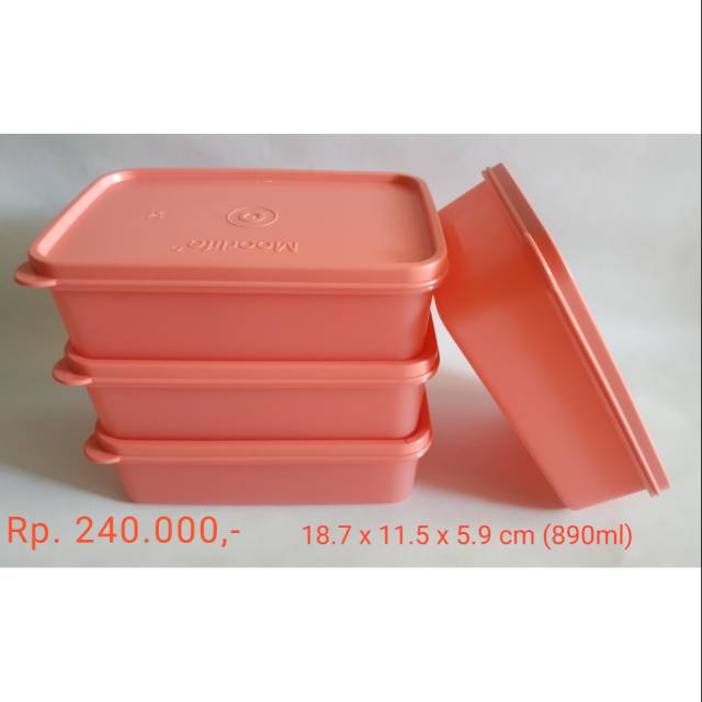 Small rectangle moorlife / Toples Promo / Moorlife Promo