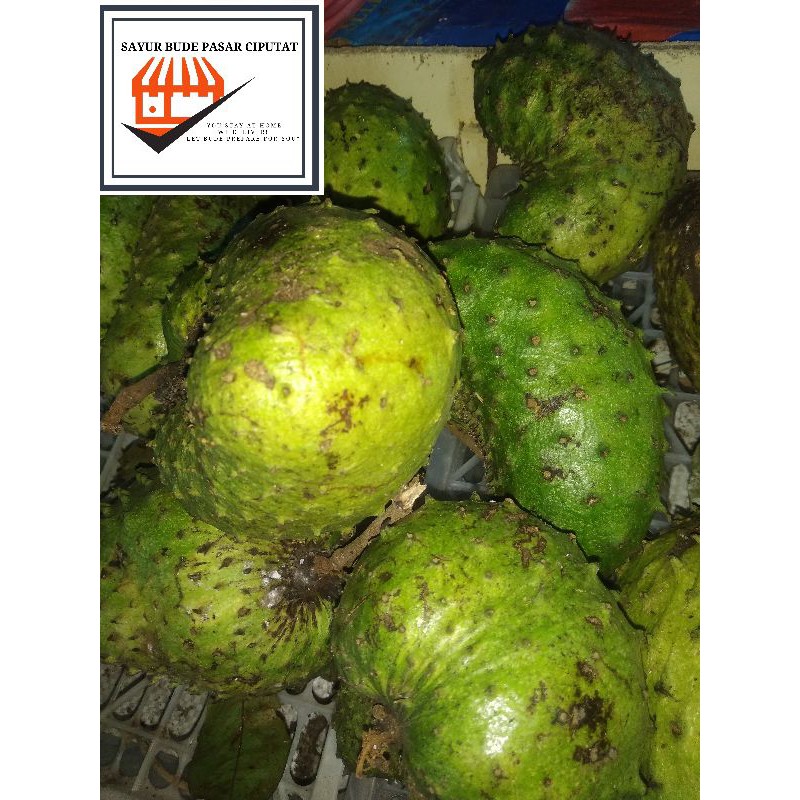 

Buah Sirsak per 1000 gram