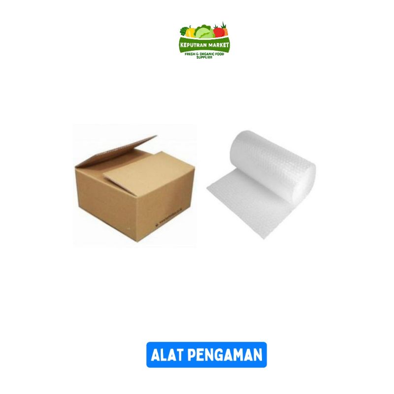 

Alat Pengaman (Kardus + Bubble Wrap)