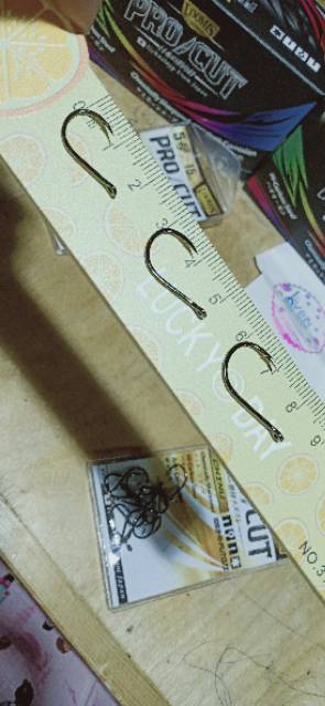 Kail Loomis Futoji Chinu