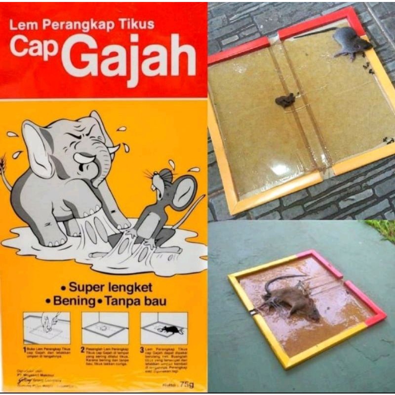 lem tikus papan cap gajah dan kiriko